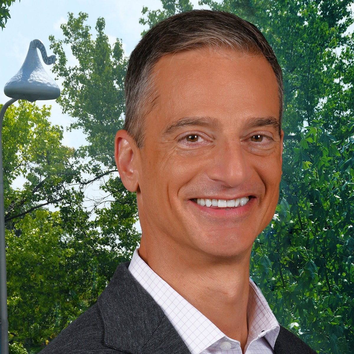 Dave Hulays 